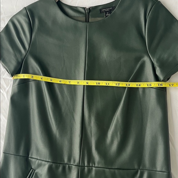 Ann Taylor Petite Green Leather Mini Dress with Pockets - Picture 13 of 16
